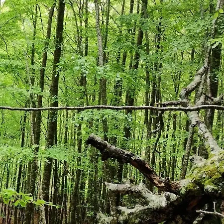 Rural La Engana Pedrosa de Valdeporres