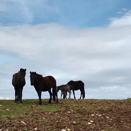 Rural La Engana Pedrosa de Valdeporres