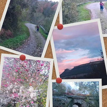 호텔 Rural La Engana 4*