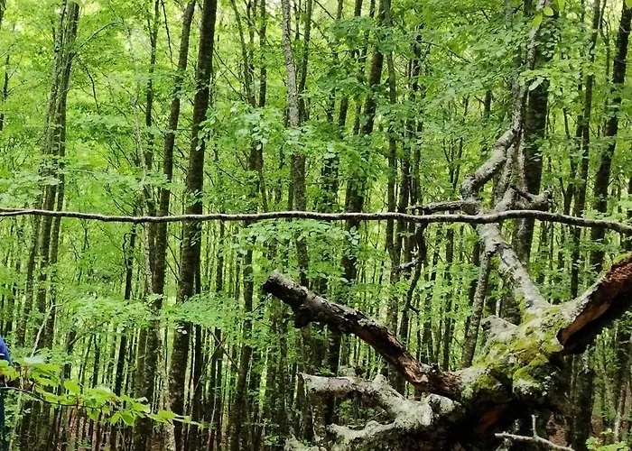 Rural La Engana Pedrosa de Valdeporres